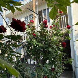 Center, hotel a Goris