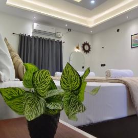 Saanvi Farmhouse, hotel in Hampi