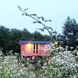 Glamping Casetta sul lago, hotel in Albairate