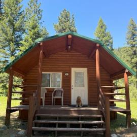 Lost Horse Lodge Double Queen Cabin 16 - PetsOK、Darbyのホテル