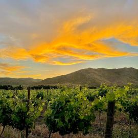Bruma Wine Resort – hotel w mieście Valle de Guadalupe