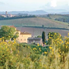 Sanlucchese 1