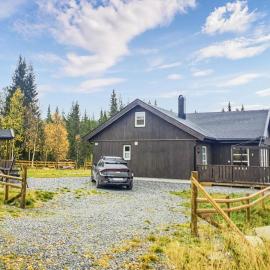 Nice Home In Hemsedal With Sauna, hotel i Hemsedal