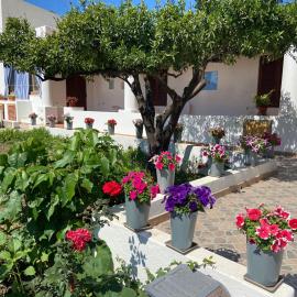 Fico d'India - Holiday Housing