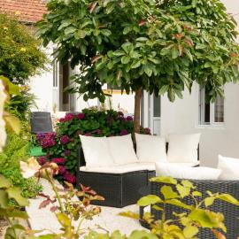 Growth House, hotel in Porto