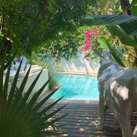 Dar Marsa Cubes, hotel a Tunis
