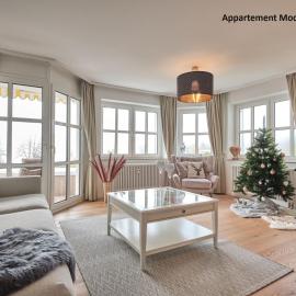 Villa Sunside Schluchsee - Appartements Modern Style & Superior, hotell i Schluchsee