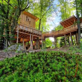 Saint-Louis에 위치한 호텔 La Cabane dans les arbres du Domaine de la Forestière