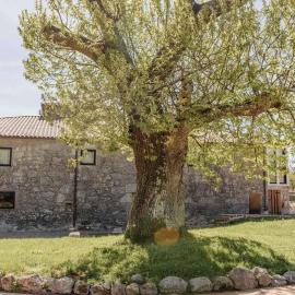 Tres Portas, hotel a Licín