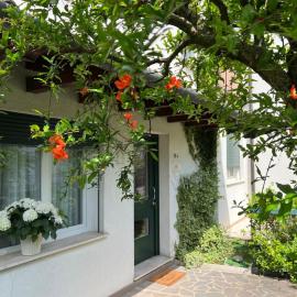 Le Gardenie di Tito