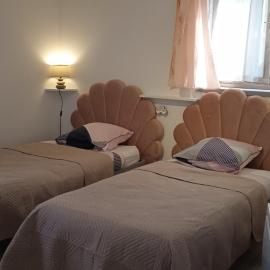 gite des palmiers, hotel sa Ameugny