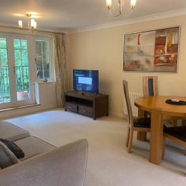 Haven With Patio, hotel in Basingstoke