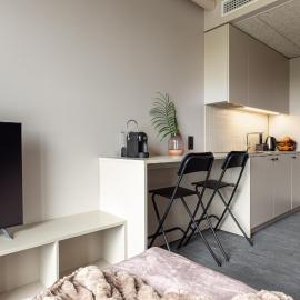 Hugo Apartment Hotel, hotel sa Tartu