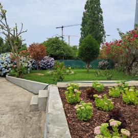 Garden House Ramalde