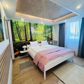 Villa Helvetia, Hotel in Târgu Mureș