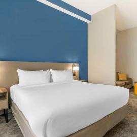 Comfort Suites Sarasota-Siesta Key，薩拉索塔的飯店