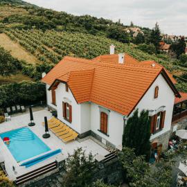 Badacsony Villa Ria