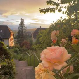 EMI2 Modern Apartment Free Parking Near Swiss Border
