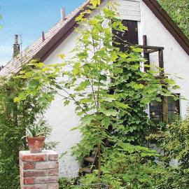 Viesnīca Holiday Home Komstad Stengravar Gärsnäs pilsētā Gärsnäs