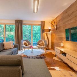 Appartement Schmittenblick Top 1