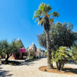 TRULLO FERNANDO