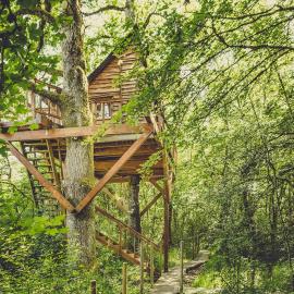 Okolin Basoa Suites cabañas en los árboles, отель в городе Лисасо