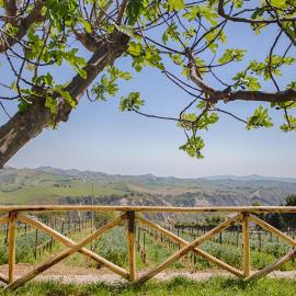 La Terrazza sul Vigneto, hotel a Offida