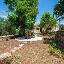 The Old One by All About Paxos