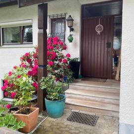 Ferienwohnung Panorama