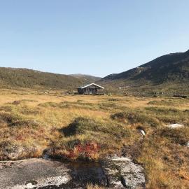 Tjeldøya โรงแรมในDragland