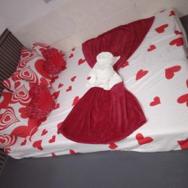 Sarah's Garden BnB & BnB Spa SARAH HOUSE RENTAL、Clarinのホテル