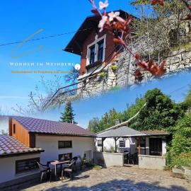 Große Reblaus - Wohnen im Weinberg in der Toskana des Nordens, hotel u gradu 'Freyburg'