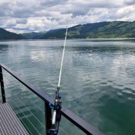 Holiday Lake House