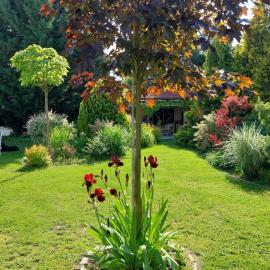 Cozy rooms in wine town - Modra