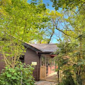 Shrew Lodge-woodland Lodges-Hot Tub-Pembrokeshire-Tenby, hotel in Carmarthen