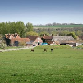 The Old Stables