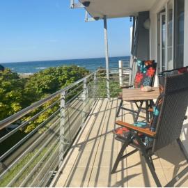Skandinavienblick Strandläufer 2,6