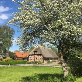 Haus Ruhe unter Reet