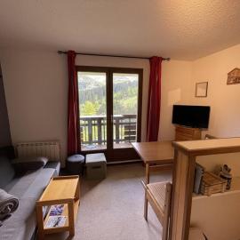 Studio cabine cosy au pied des pistes, animaux acceptés - FR-1-787-9