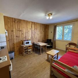 Agréable T2 au pied des pistes avec piscine estivale, parking, et animaux bienvenus - FR-1-787-31