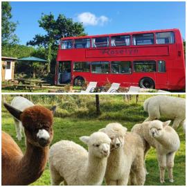 Double Decker Bus on an Alpaca Farm sleeps 8, Hotel in Newton Abbot