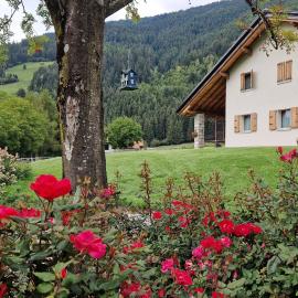 B&B La Paganina, hotel in Borno
