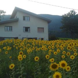 Petit T3 au calme, hotel in La Motte-Servolex
