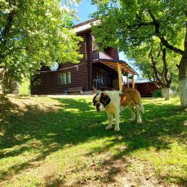 Cabana Dochita, hotel u gradu Čahlau