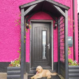 The little pink house: Thurles şehrinde bir otel