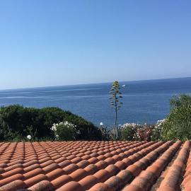 Il Pettirosso, hotel v destinácii Acciaroli