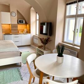 Apartmán Dominikánská