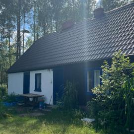 24mousehouse - Urokliwy domek w sercu Borów Tucholskich