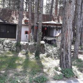 Apartman medju borovima, hotel u gradu Vinci