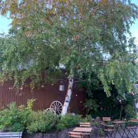 Cottage Village 宿り木荘, hotel v mestu Akita